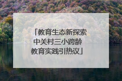 教育生态新探索 中关村三小跨龄教育实践引热议