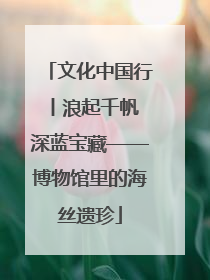 文化中国行丨浪起千帆 深蓝宝藏——博物馆里的海丝遗珍