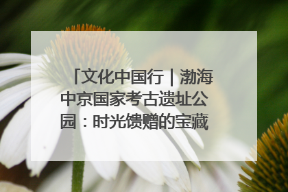 文化中国行｜渤海中京国家考古遗址公园：时光馈赠的宝藏 历史凝固的诗篇