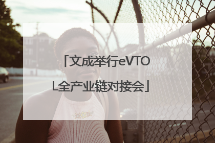 文成举行eVTOL全产业链对接会