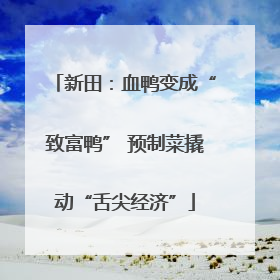新田：血鸭变成“致富鸭” 预制菜撬动“舌尖经济”