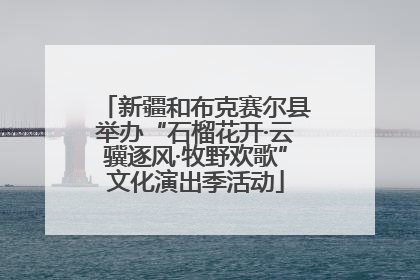 新疆和布克赛尔县举办“石榴花开·云骥逐风·牧野欢歌”文化演出季活动