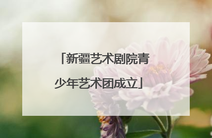 新疆艺术剧院青少年艺术团成立