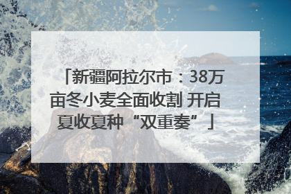 新疆阿拉尔市：38万亩冬小麦全面收割 开启夏收夏种“双重奏”