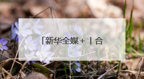 新华全媒＋丨合福高铁十周年：高铁铺就康庄大道