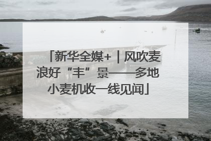 新华全媒+｜风吹麦浪好“丰”景——多地小麦机收一线见闻