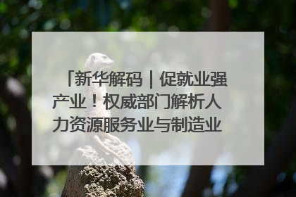 新华解码｜促就业强产业！权威部门解析人力资源服务业与制造业融合发展试点