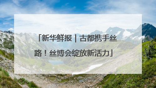 新华鲜报｜古都携手丝路！丝博会绽放新活力
