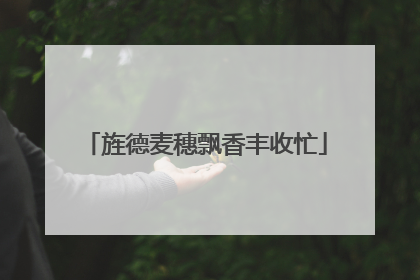旌德麦穗飘香丰收忙