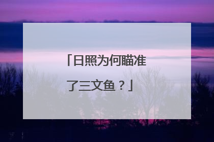日照为何瞄准了三文鱼？