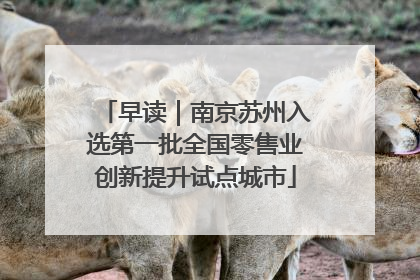 早读｜南京苏州入选第一批全国零售业创新提升试点城市