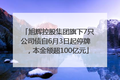 旭辉控股集团旗下7只公司债自6月3日起停牌，本金额超100亿元