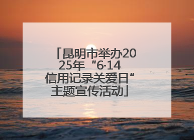 昆明市举办2025年“6·14信用记录关爱日”主题宣传活动