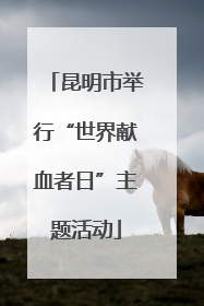 昆明市举行“世界献血者日”主题活动