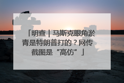 明查｜马斯克眼角淤青是特朗普打的？网传截图是“高仿”