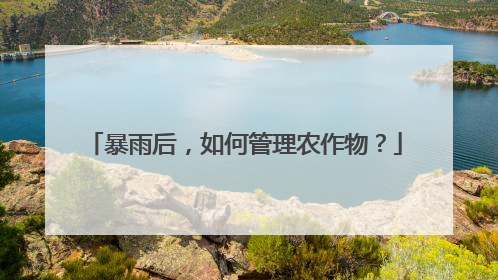 暴雨后，如何管理农作物？