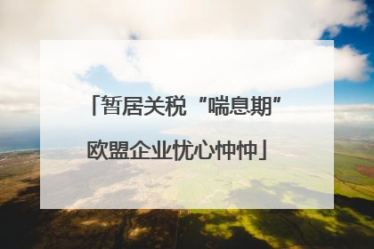 暂居关税“喘息期” 欧盟企业忧心忡忡