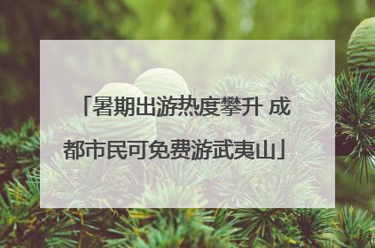 暑期出游热度攀升 成都市民可免费游武夷山