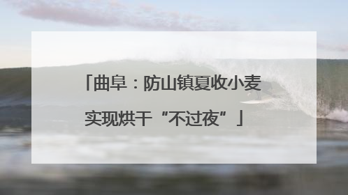 曲阜：防山镇夏收小麦实现烘干“不过夜”