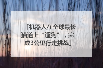 机器人在全球最长猫道上“遛狗”，完成3公里行走挑战