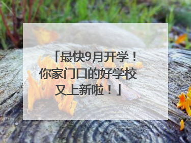 最快9月开学！你家门口的好学校又上新啦！