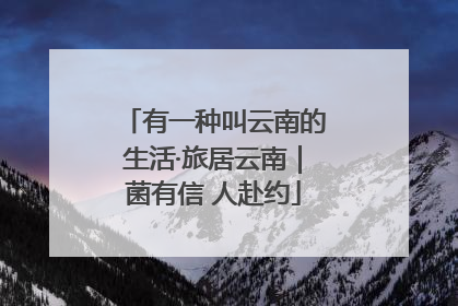 有一种叫云南的生活·旅居云南｜菌有信 人赴约