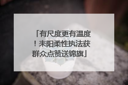 有尺度更有温度！耒阳柔性执法获群众点赞送锦旗