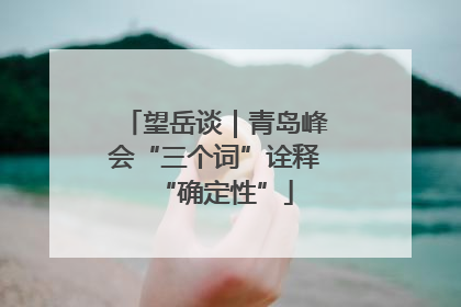 望岳谈｜青岛峰会“三个词”诠释“确定性”