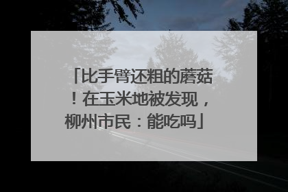 比手臂还粗的蘑菇！在玉米地被发现，柳州市民：能吃吗