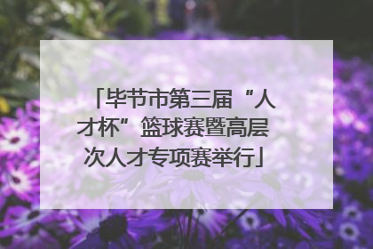 毕节市第三届“人才杯”篮球赛暨高层次人才专项赛举行