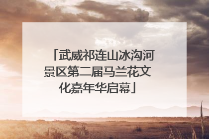 武威祁连山冰沟河景区第二届马兰花文化嘉年华启幕