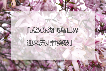 武汉东湖飞鸟世界迎来历史性突破