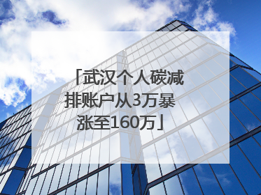 武汉个人碳减排账户从3万暴涨至160万