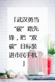 武汉勇当“碳”路先锋，把“双碳”目标装进市民手机