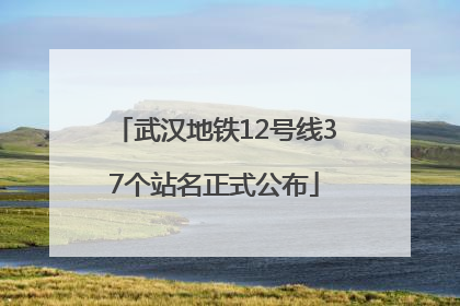 武汉地铁12号线37个站名正式公布