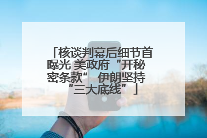 核谈判幕后细节首曝光 美政府“开秘密条款” 伊朗坚持“三大底线”