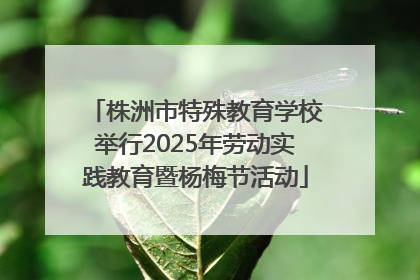 株洲市特殊教育学校举行2025年劳动实践教育暨杨梅节活动