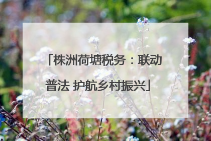 株洲荷塘税务：联动普法 护航乡村振兴