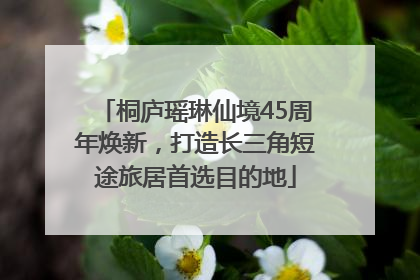 桐庐瑶琳仙境45周年焕新，打造长三角短途旅居首选目的地