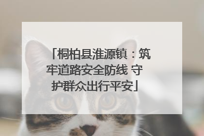 桐柏县淮源镇：筑牢道路安全防线 守护群众出行平安