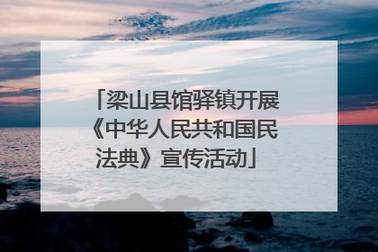 梁山县馆驿镇开展《中华人民共和国民法典》宣传活动