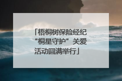 梧桐树保险经纪“桐星守护”关爱活动圆满举行