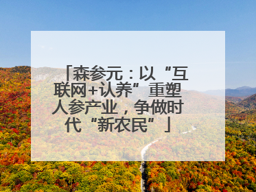 森参元：以“互联网+认养”重塑人参产业，争做时代“新农民”
