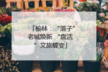 榆林：“落子”老城焕新 “盘活”文旅蝶变