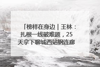 榜样在身边｜王林：扎根一线破难题，25天拿下聊城西站钢连廊“硬核”工程