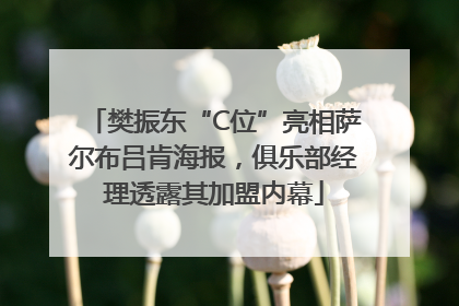 樊振东“C位”亮相萨尔布吕肯海报，俱乐部经理透露其加盟内幕