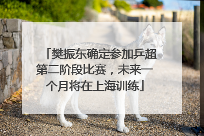 樊振东确定参加乒超第二阶段比赛，未来一个月将在上海训练