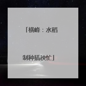 横峰：水稻制种插秧忙