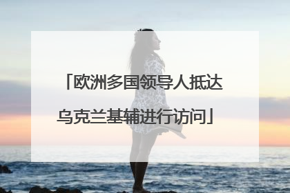 欧洲多国领导人抵达乌克兰基辅进行访问