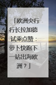 欧洲央行行长拉加德试乘点赞：萝卜快跑下一站出海欧洲？